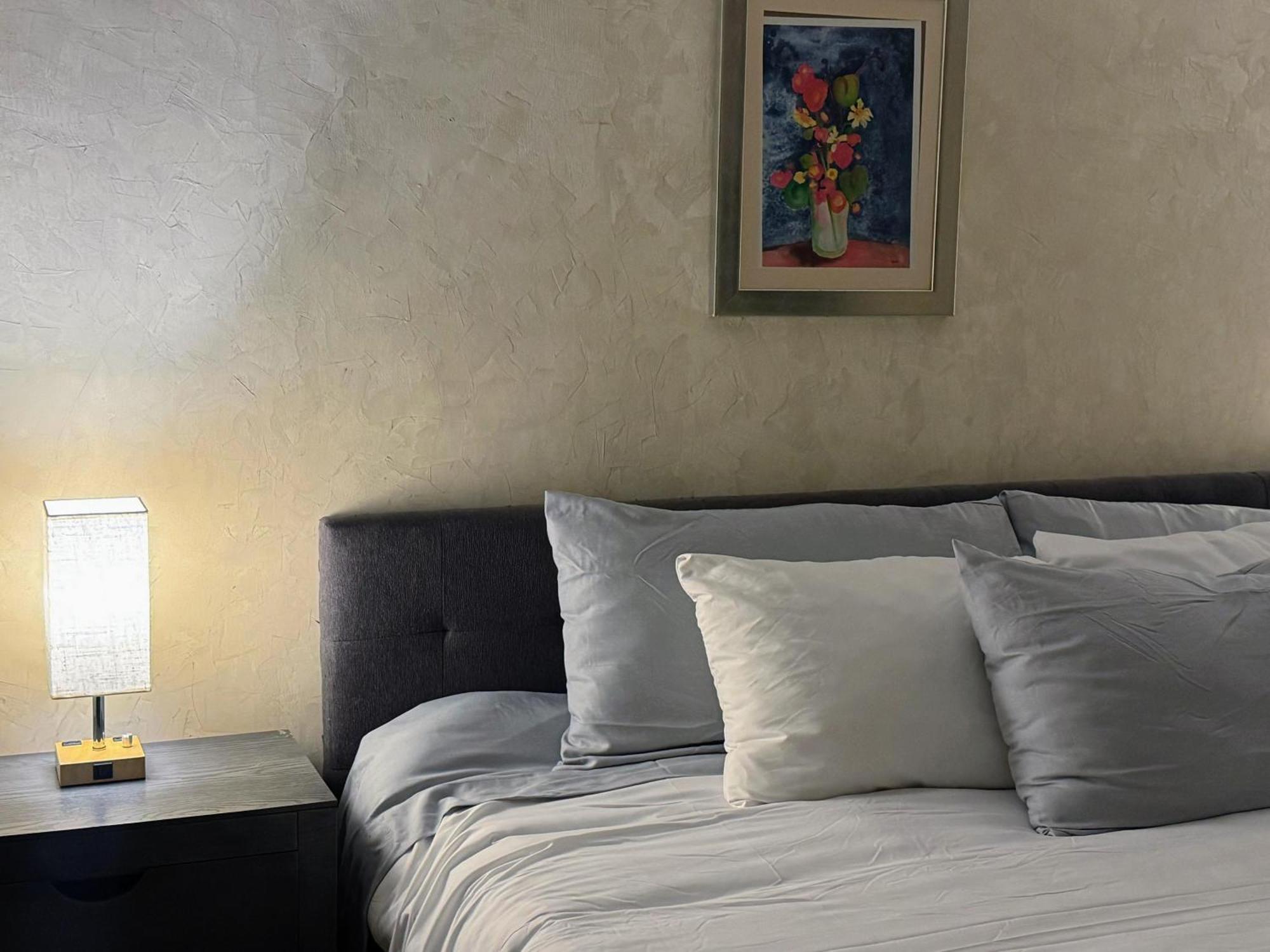 Macarena Guest House San Miguel de Allende Eksteriør billede